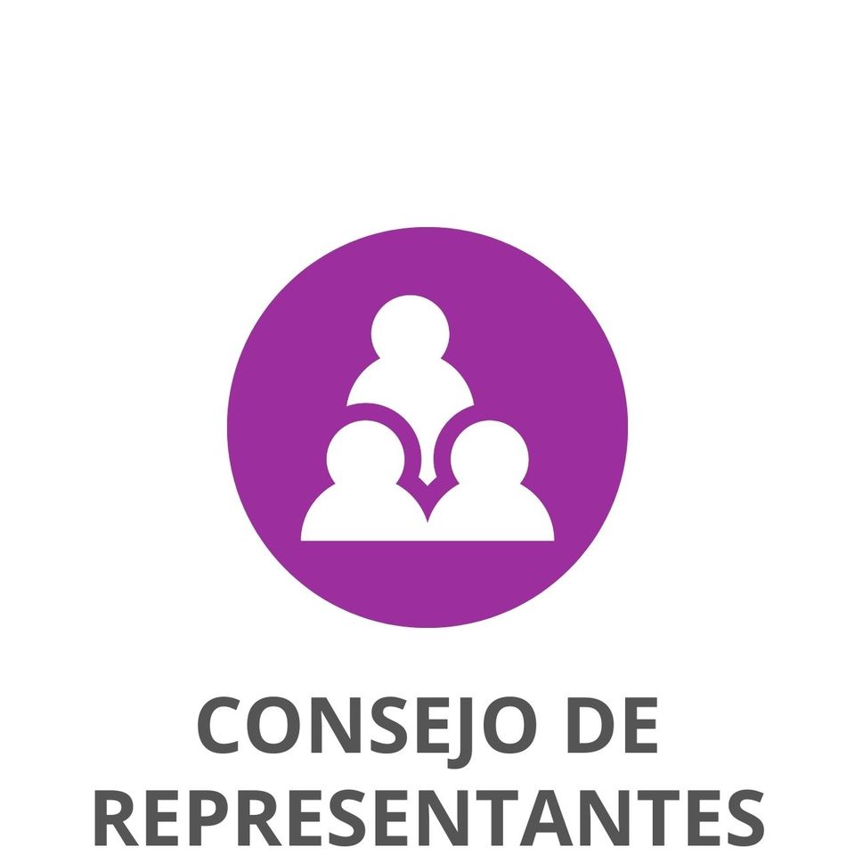 Consejo de Representantes