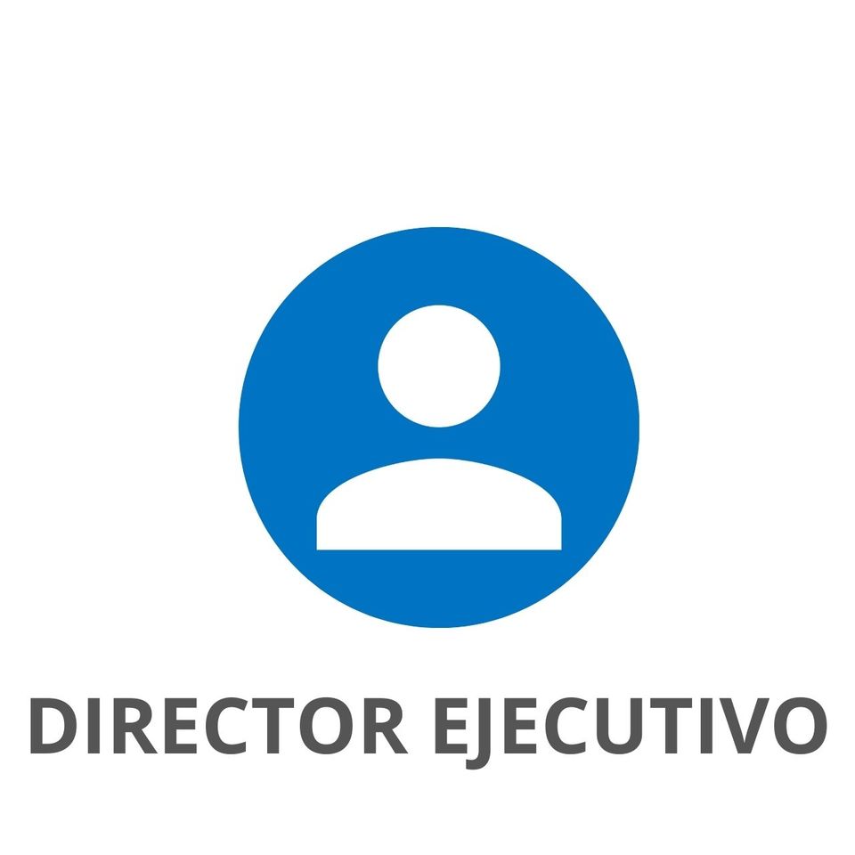 Director Ejecutivo